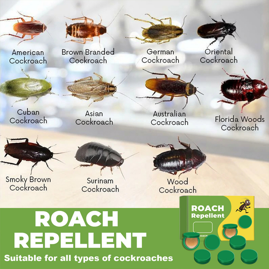 Cockroach Killer Gel (Buy 1 Get 1 Free) 24pcs