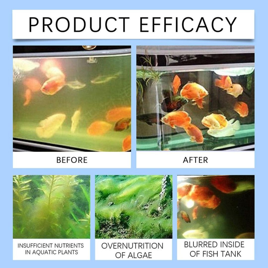 Fish Tank Water Purifier Algae Remover (Buy 1 Get 1 Free)