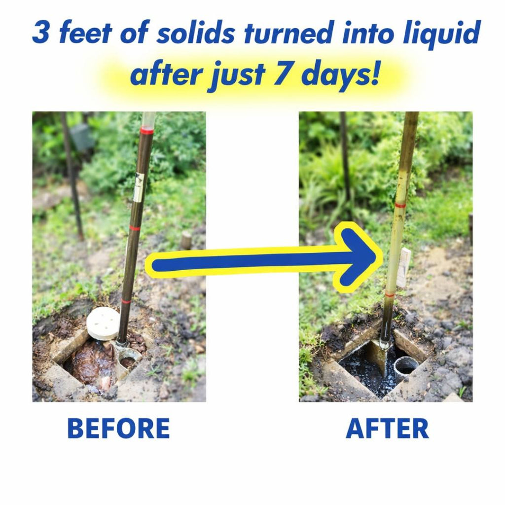 Drain Field Cleaner Tablets (20 Tablets) – Restore Your Septic System Naturally