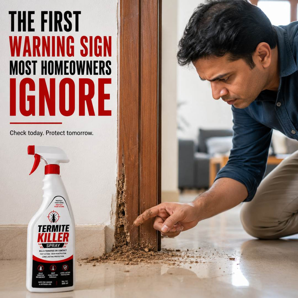Termite Killer Spray | PACK OF 2