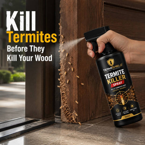 Termite Killer Spray | PACK OF 2