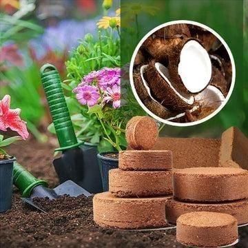 Organic Coconut Coir for Plants (Pack of 10)