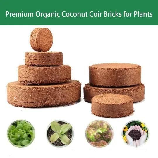 Organic Coconut Coir for Plants (Pack of 10)