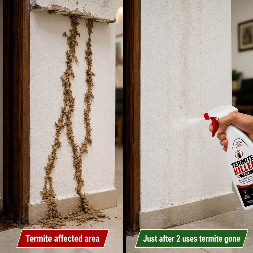 Termite Killer Spray | PACK OF 2