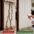 Termite Killer Spray | PACK OF 2