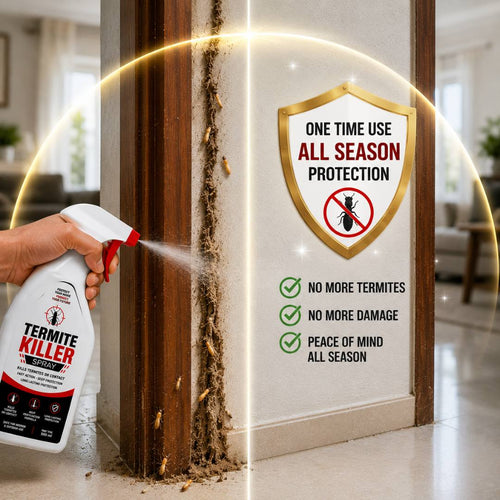 Termite Killer Spray | PACK OF 2